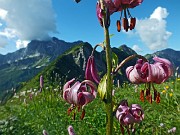 Anello dei Laghi Gemelli con il laghetto della Paura dalle Baite di Mezzeno il 15 luglio 2014  - FOTOGALLERY